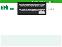 Tablet Screenshot of emi-wissler.com